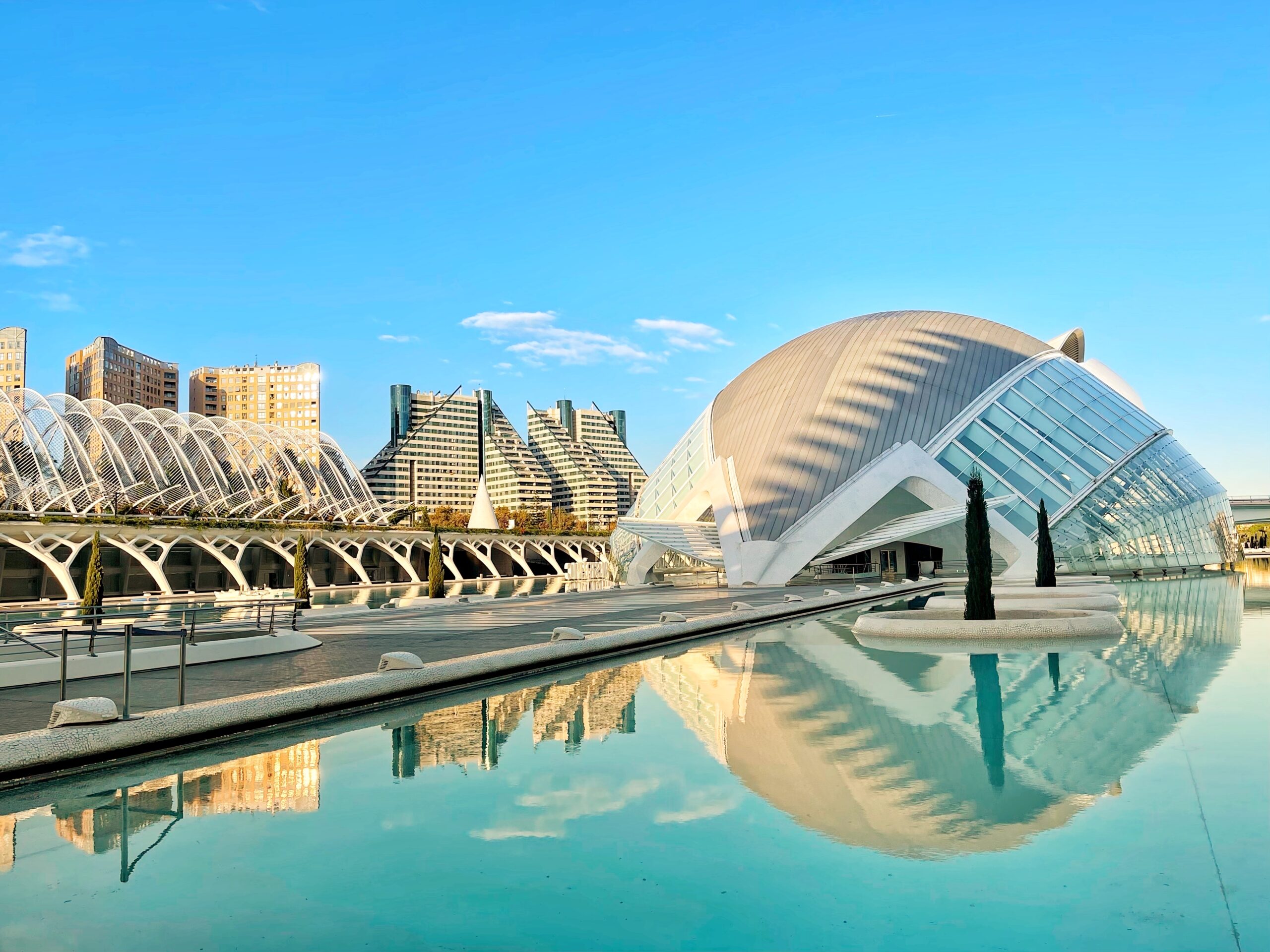 puente grua Valencia con Grualia