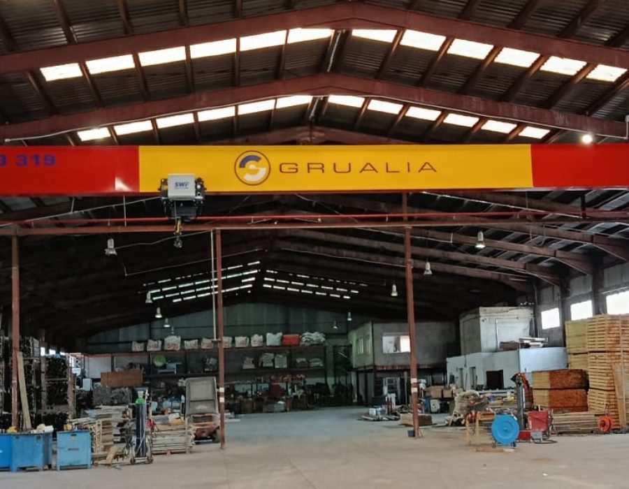 PG Monorraíl - H26 - 6.3 Toneladas - Luz 26625mm (4)