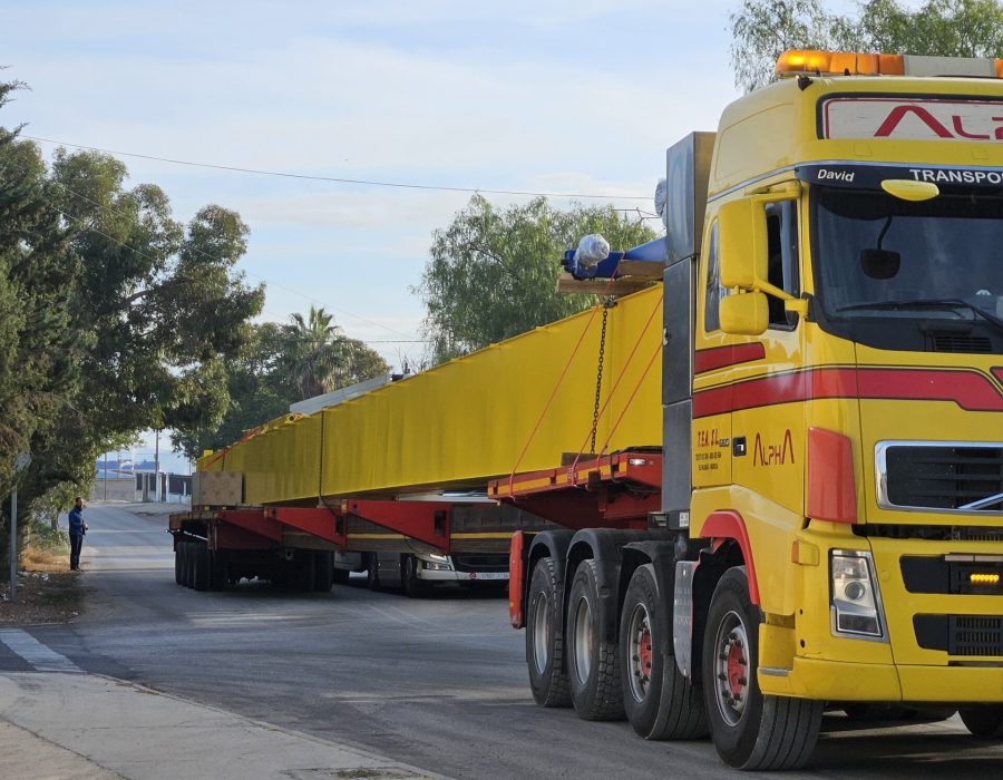 Puente Grúa Birraíl – 25 TONELADAS – LUZ 42,28 MTRS (2)